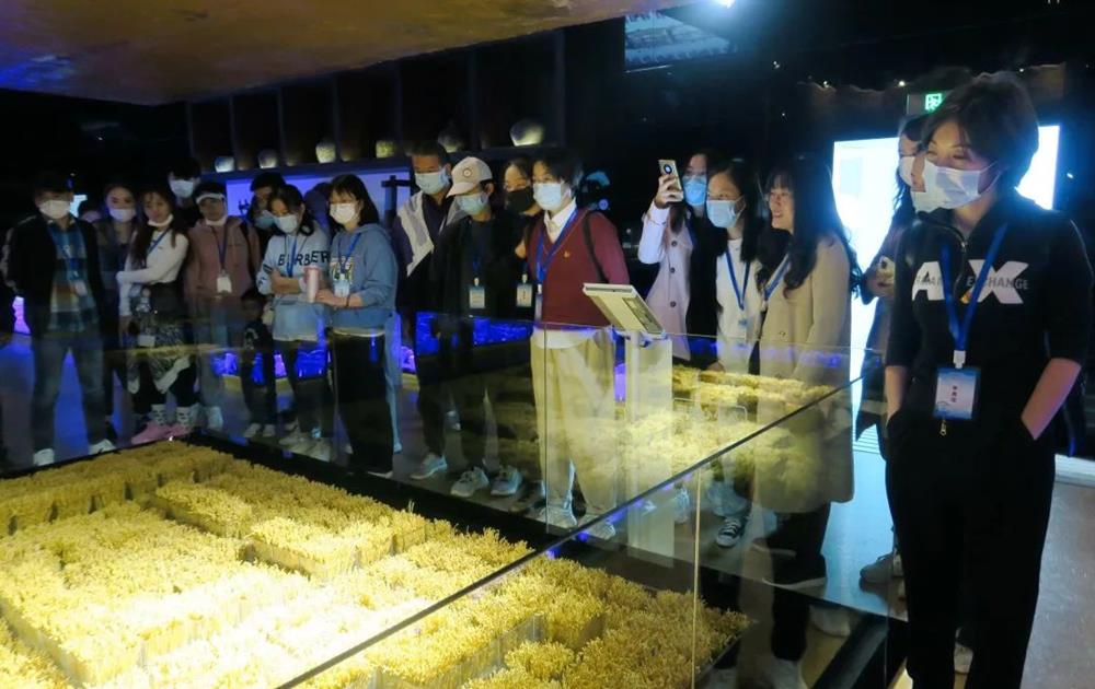 b82b1773ffcd43569a6888fc47b27bb3.jpg b82b1773ffcd43569a6888fc47b27bb3.jpg