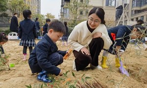 马珍（西溪幼儿园）-中班沙水游戏：《我的游戏我做主》
