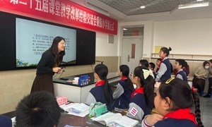丁龙英（锦丰中心小学）-语文：《少年闰土》