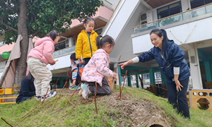 范纯琦（杨舍镇中心幼儿园）——中班户外拼搭：《秋日游乐园》