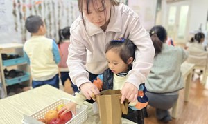 张佳蓓（新塘幼儿园）——小班科学：《小猴的水果店》
