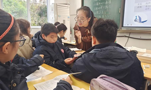 秦佳玮（张家港市第一中学）—语文：《大雁归来》