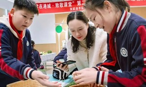 赵亚珍(德积小学)——劳动：《食谱设计与食材采购》