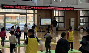 张小蒙（崇真小学）—体育与健康：《各种姿势的爬行》