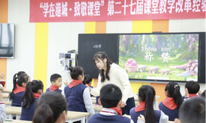 杜丽娟（常青藤实验学校）— 语文：《称赞》