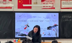 杨阳（张家港市第二中学南校区）—语文：《以评价促进阶——让作文语言通情、达理、传神》