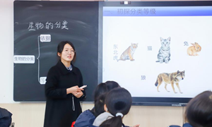 孙冉冉（张家港外国语学校）—生物：《生物的分类》