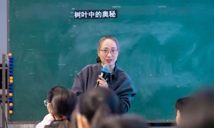 许华红（梁丰小学）——数学：《树叶中的比》