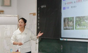 郑天仪（沙洲中学）—生物： 《生态系统的结构》