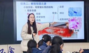汤轶凡（合兴初级中学）——生物：《人体的运动（第一课时）》